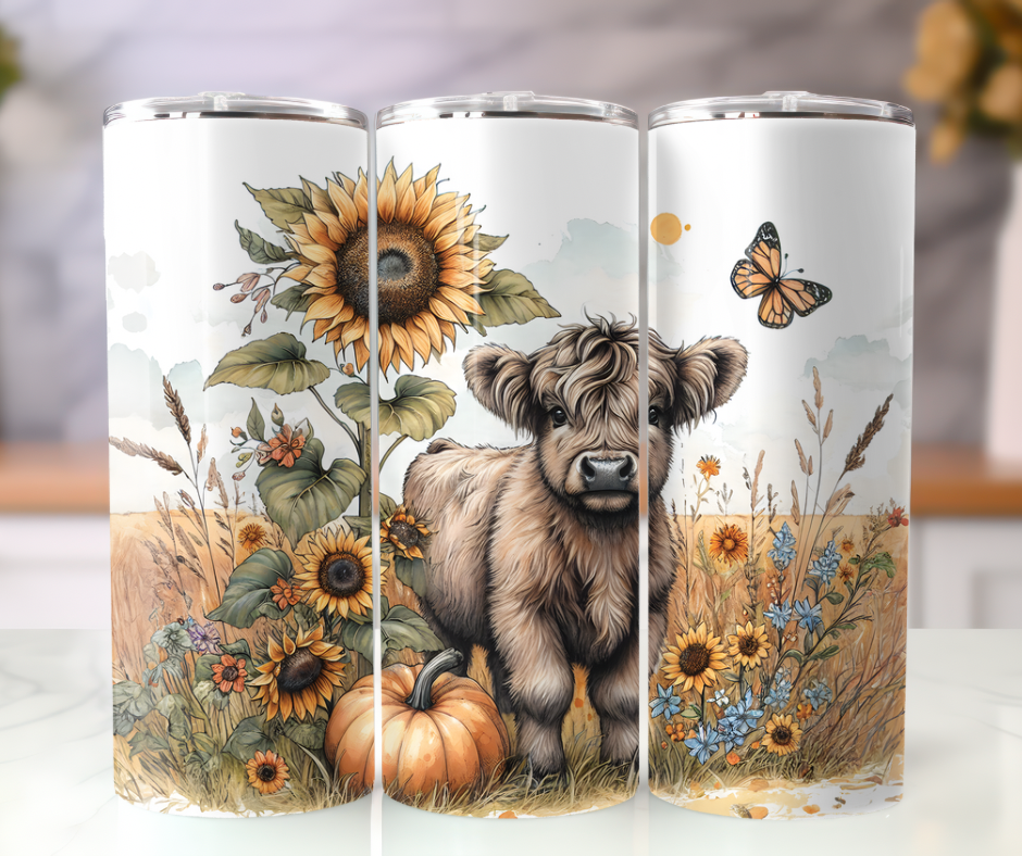 Sunflower field highland cow