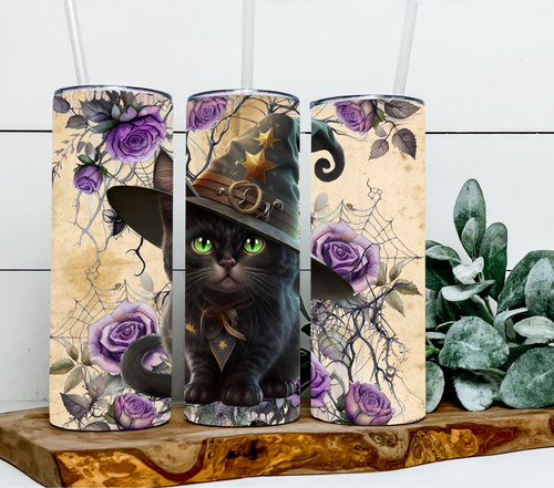 Halloween black cat witch
