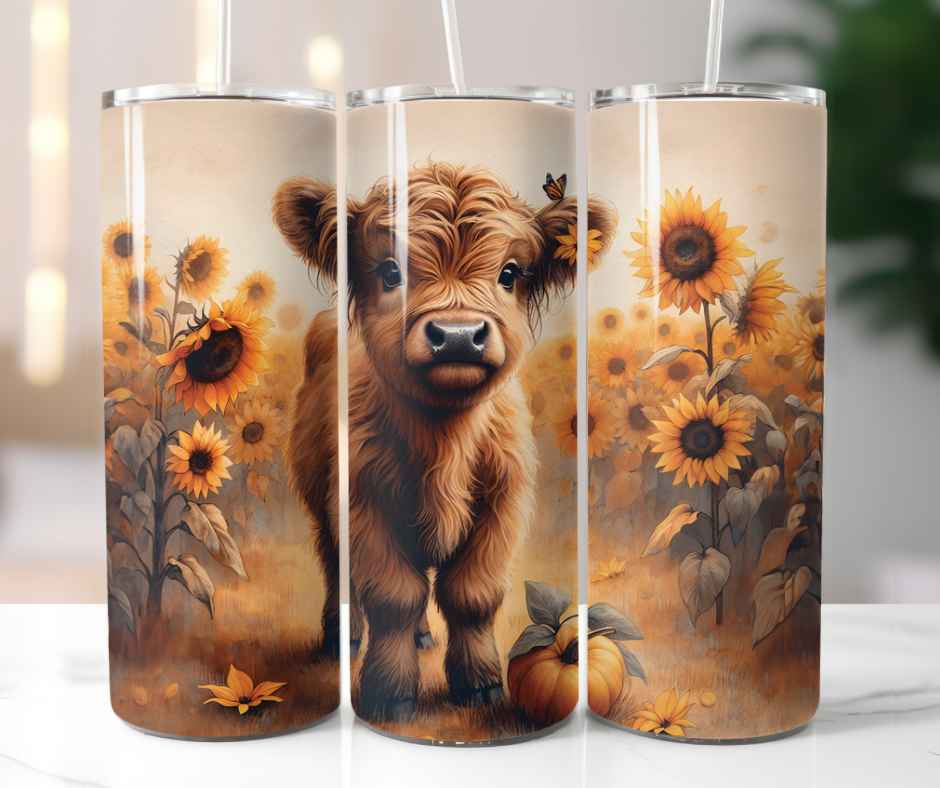 Highland cow in sunflower field