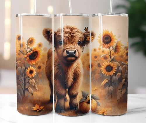 Highland cow in sunflower field