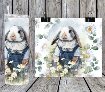 Spring Bunny